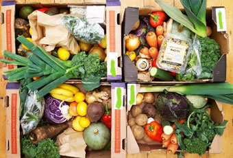 Our new organic fruit and/or veg boxes are available for collection or delivery