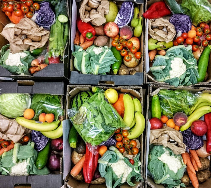 Photo of veg boxes made up for customers, containing fresh, organic fruit and vegetables